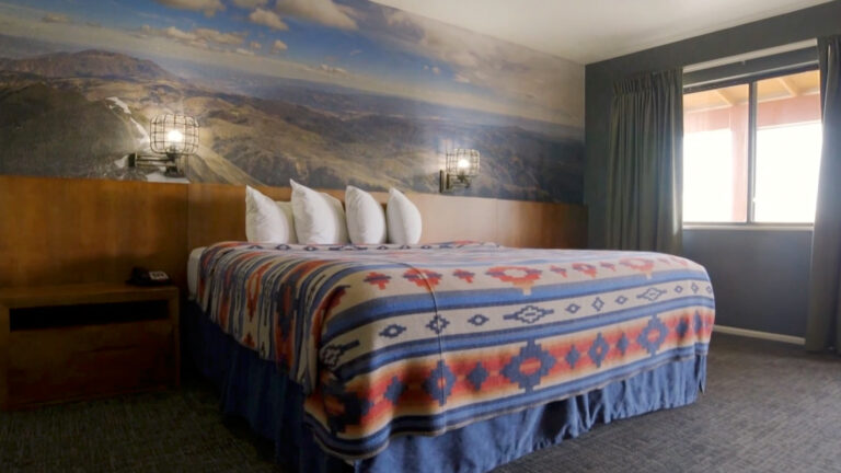 Standard Deluxe 1 King Bed